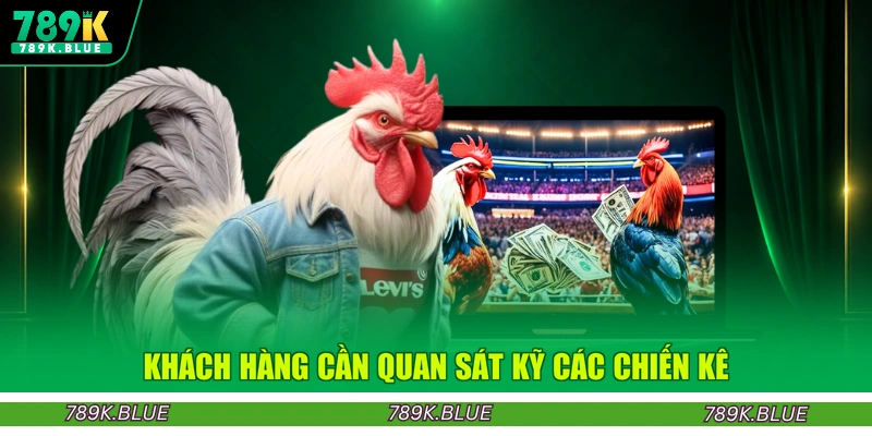 Khách hàng cần quan sát kỹ các chiến kê